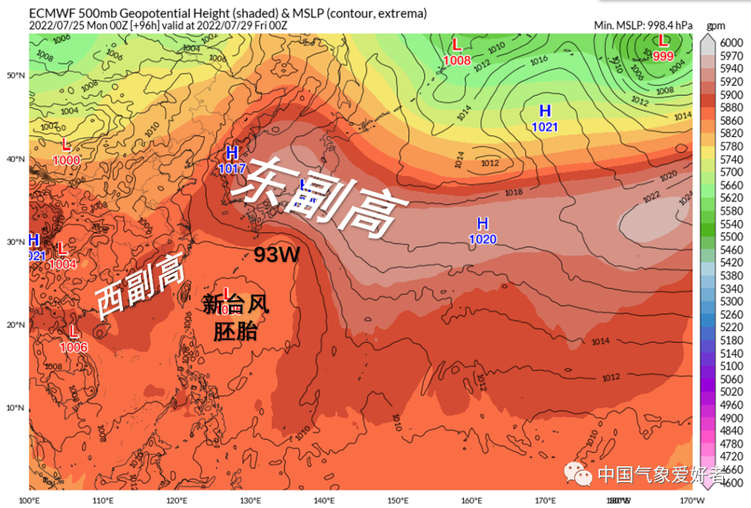 风台小鱼网最新消息动态