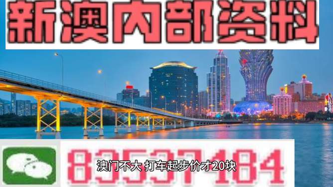 澳门正版彩票的未来展望，走向精准与公益的和谐共生（2025展望）