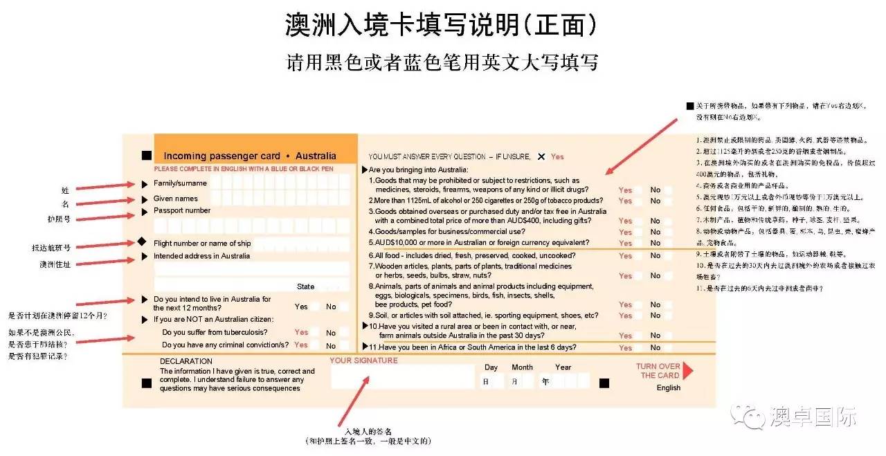 新澳三期必出一肖，揭秘背后的秘密与预测逻辑