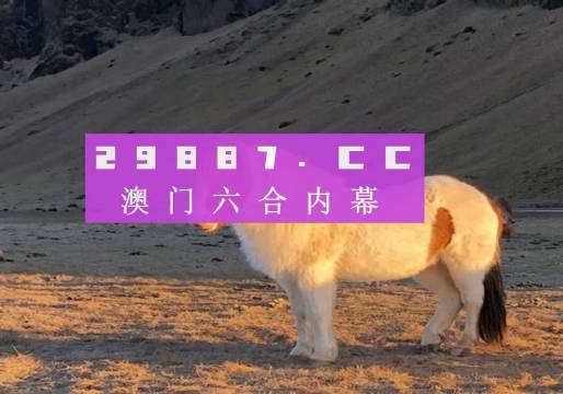 澳门今晚开奖揭秘，探索数字49的魅力与期待