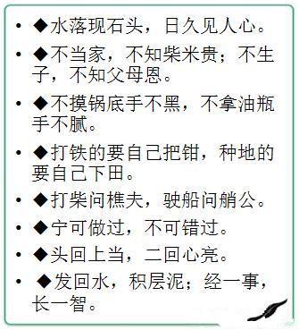 澳门正版资料大全免费歇后语——俗语中的智慧与魅力