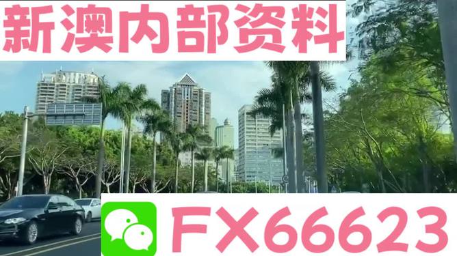 新澳精准资料免费提供，探索第265期的价值与影响