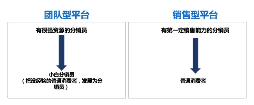 管家婆一肖一码资料大全，揭秘背后的秘密与深度解析