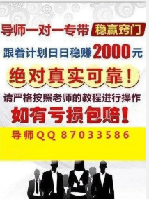 澳门天天彩期期精准，揭秘背后的真相与风险警示